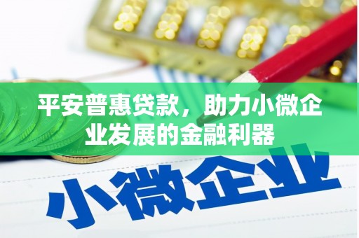 林甸平安普惠贷款，助力小微企业发展的金融利器