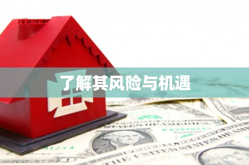 林甸了解其风险与机遇