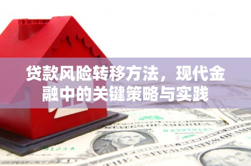 林甸贷款风险转移方法，现代金融中的关键策略与实践