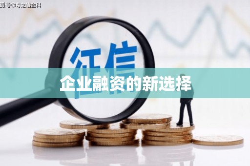 林甸企业融资的新选择