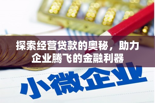 林甸探索经营贷款的奥秘，助力企业腾飞的金融利器