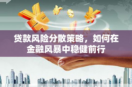 林甸贷款风险分散策略，如何在金融风暴中稳健前行