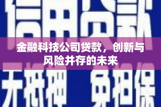 林甸金融科技公司贷款，创新与风险并存的未来