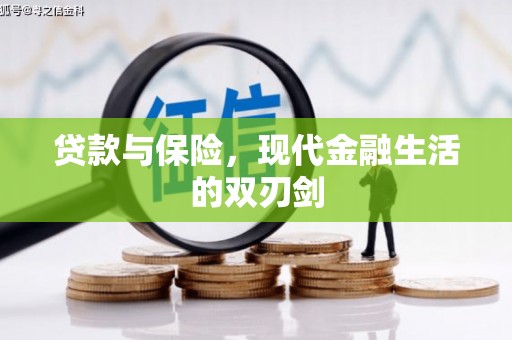 林甸贷款与保险，现代金融生活的双刃剑