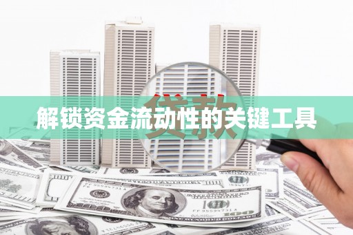 林甸解锁资金流动性的关键工具