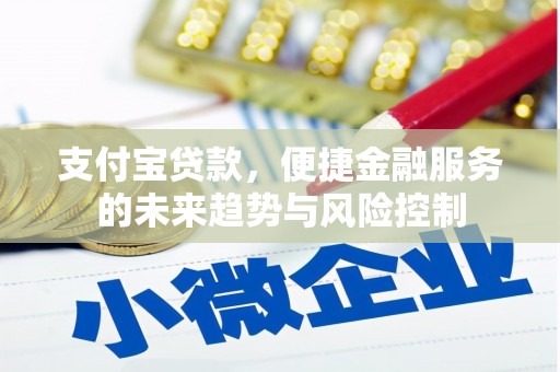林甸支付宝贷款，便捷金融服务的未来趋势与风险控制