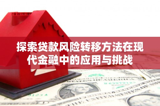 林甸探索贷款风险转移方法在现代金融中的应用与挑战
