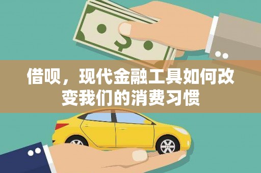 林甸借呗，现代金融工具如何改变我们的消费习惯