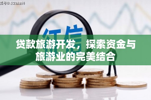 林甸贷款旅游开发，探索资金与旅游业的完美结合