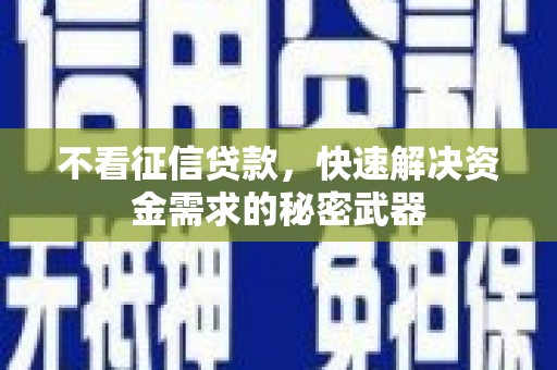 林甸不看征信贷款，快速解决资金需求的秘密武器