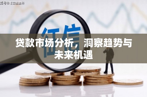 林甸贷款市场分析，洞察趋势与未来机遇