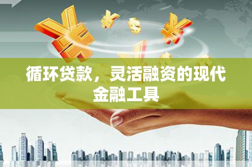 林甸循环贷款，灵活融资的现代金融工具