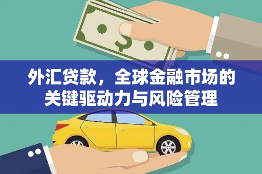 林甸外汇贷款，全球金融市场的关键驱动力与风险管理