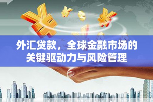 林甸外汇贷款，全球金融市场的关键驱动力与风险管理