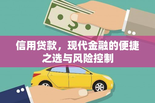 林甸信用贷款，现代金融的便捷之选与风险控制