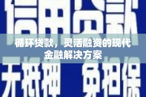 林甸循环贷款，灵活融资的现代金融解决方案
