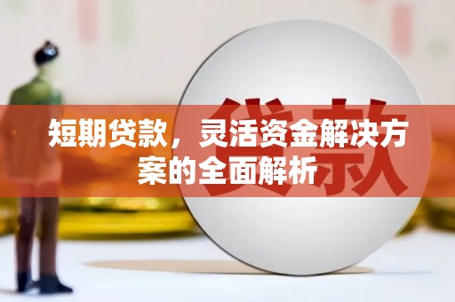 林甸短期贷款，灵活资金解决方案的全面解析