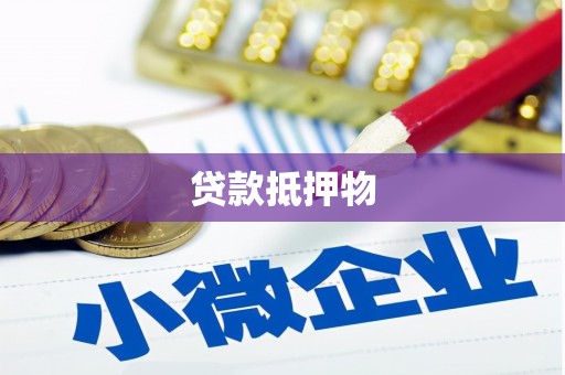 林甸贷款抵押物