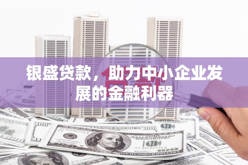 林甸银盛贷款，助力中小企业发展的金融利器