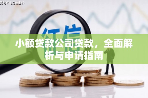 林甸小额贷款公司贷款，全面解析与申请指南