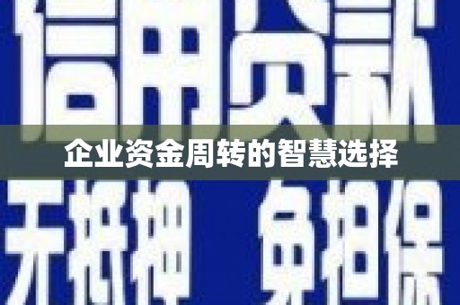 林甸企业资金周转的智慧选择