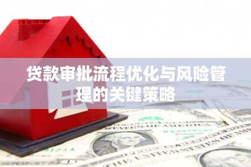 林甸贷款审批流程优化与风险管理的关键策略