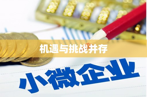 林甸机遇与挑战并存