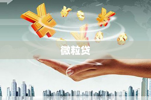 林甸微粒贷