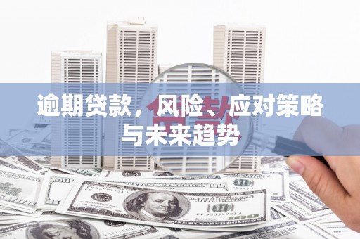 林甸逾期贷款，风险、应对策略与未来趋势