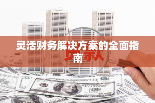 林甸灵活财务解决方案的全面指南