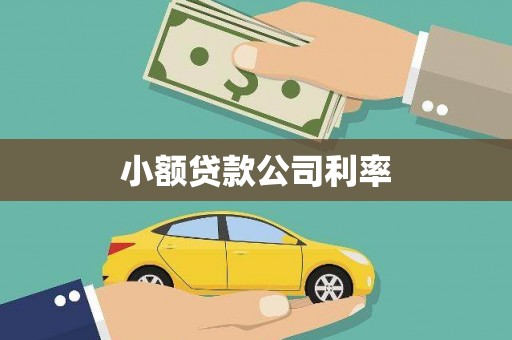 林甸小额贷款公司利率