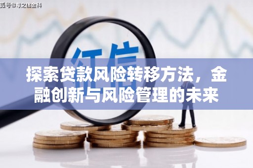 林甸探索贷款风险转移方法，金融创新与风险管理的未来