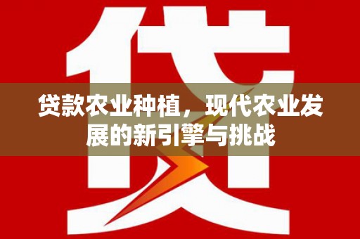 林甸贷款农业种植，现代农业发展的新引擎与挑战