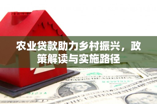 林甸农业贷款助力乡村振兴，政策解读与实施路径