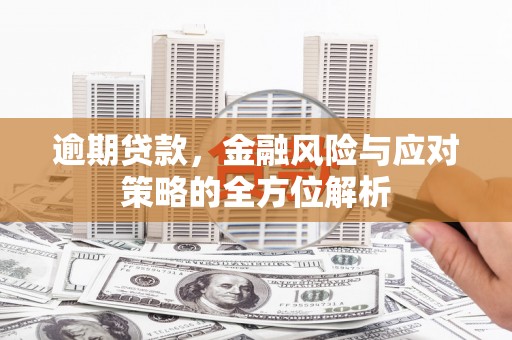 林甸逾期贷款，金融风险与应对策略的全方位解析