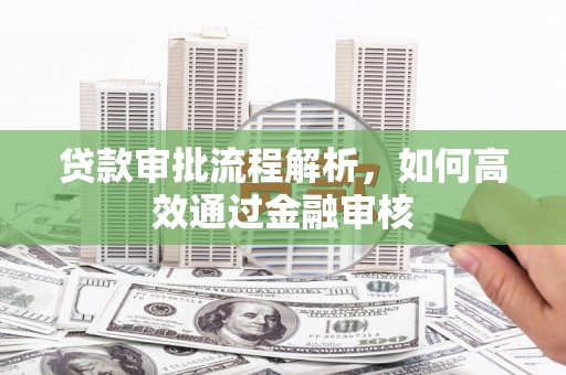 林甸贷款审批流程解析，如何高效通过金融审核