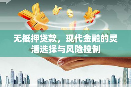 林甸无抵押贷款，现代金融的灵活选择与风险控制
