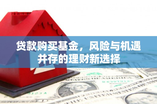 林甸贷款购买基金，风险与机遇并存的理财新选择