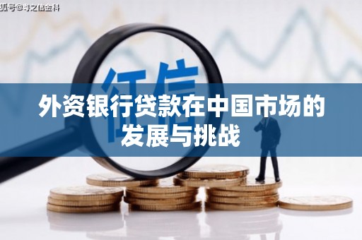 林甸外资银行贷款在中国市场的发展与挑战