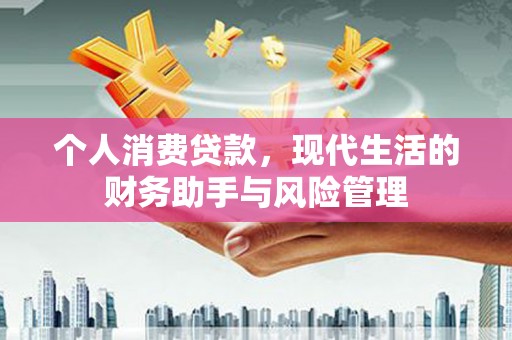 林甸个人消费贷款，现代生活的财务助手与风险管理