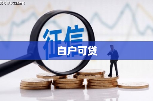 林甸白户可贷