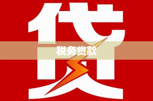 林甸税务贷款