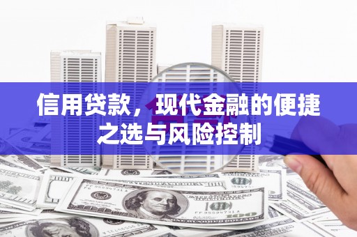 林甸信用贷款，现代金融的便捷之选与风险控制