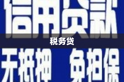 林甸税务贷