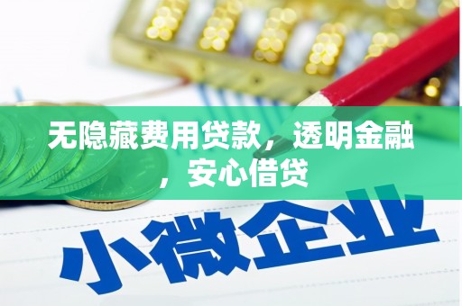 林甸无隐藏费用贷款，透明金融，安心借贷