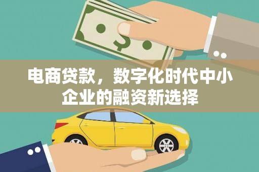 林甸电商贷款，数字化时代中小企业的融资新选择