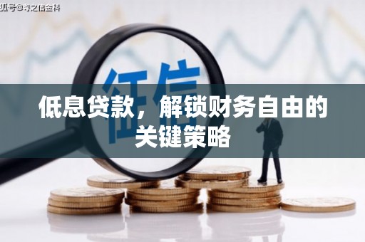 林甸低息贷款，解锁财务自由的关键策略
