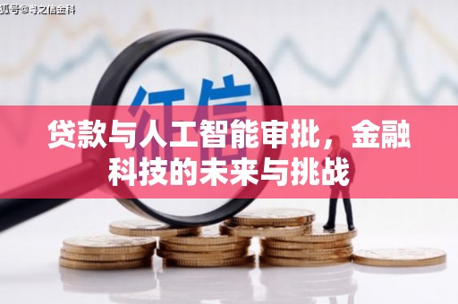林甸贷款与人工智能审批，金融科技的未来与挑战