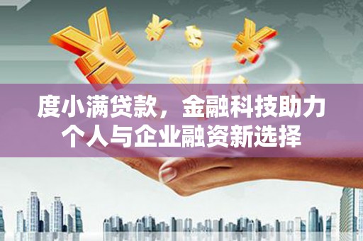 林甸度小满贷款，金融科技助力个人与企业融资新选择