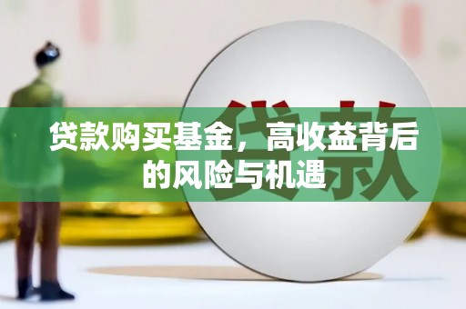 林甸贷款购买基金，高收益背后的风险与机遇